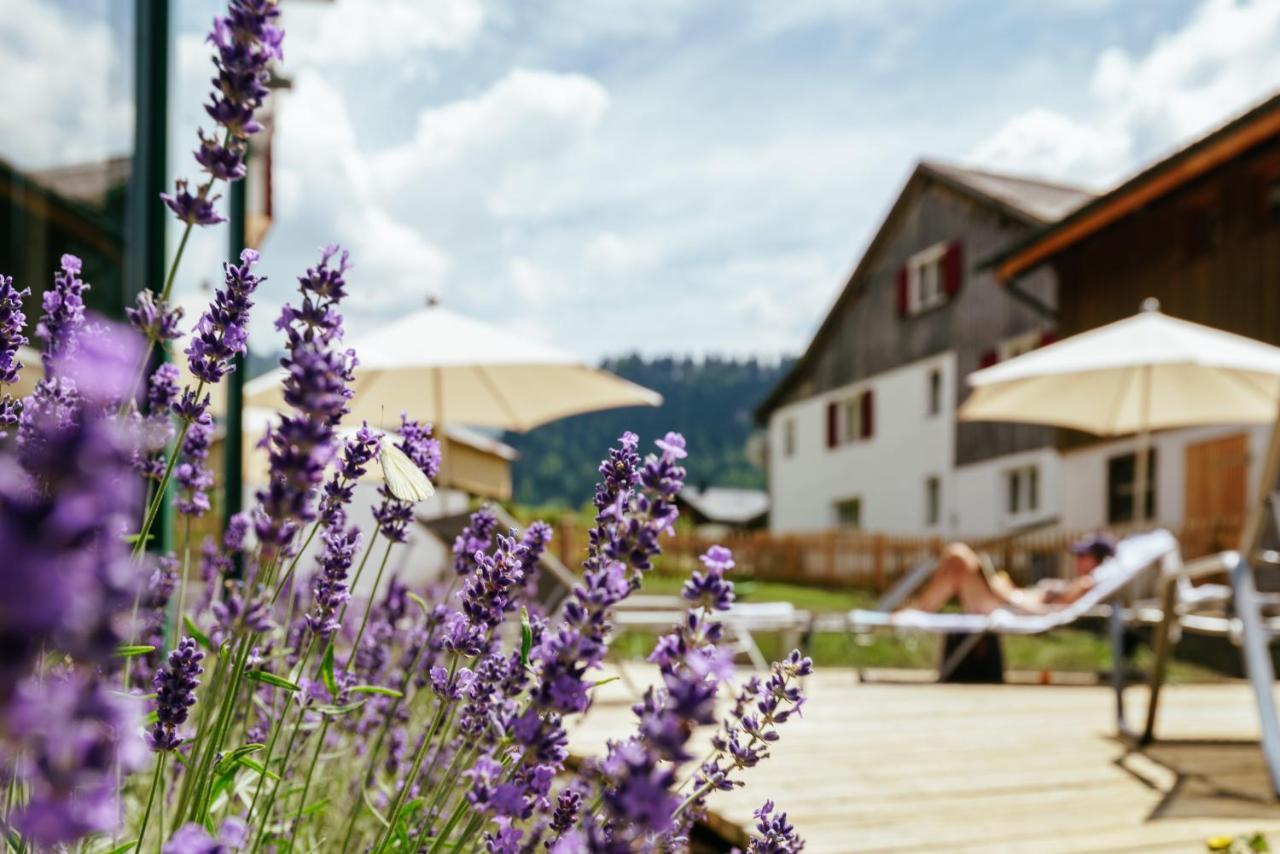 Hirschen Wohlfuehlhotel 쇼페나우 외부 사진